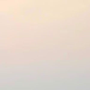 Meet your Posher, Riley